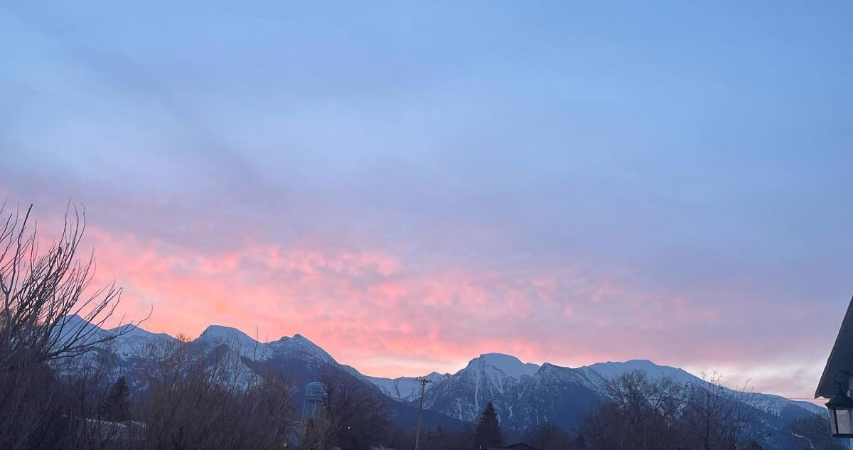 Garden wall sunrise